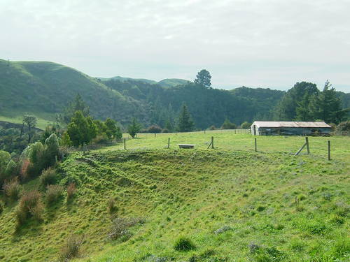 Terracing and trees