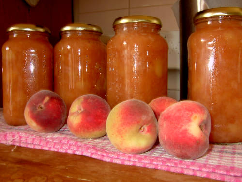Make and take fruit preserve (jam, sauce etc.)