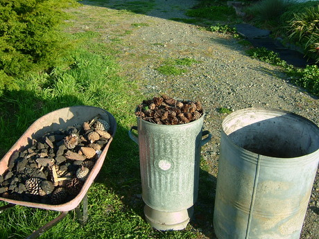 Home Made Biochar