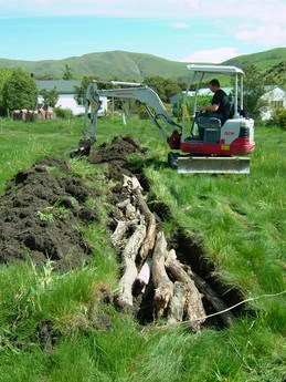 Log Swale / Hugelkultur