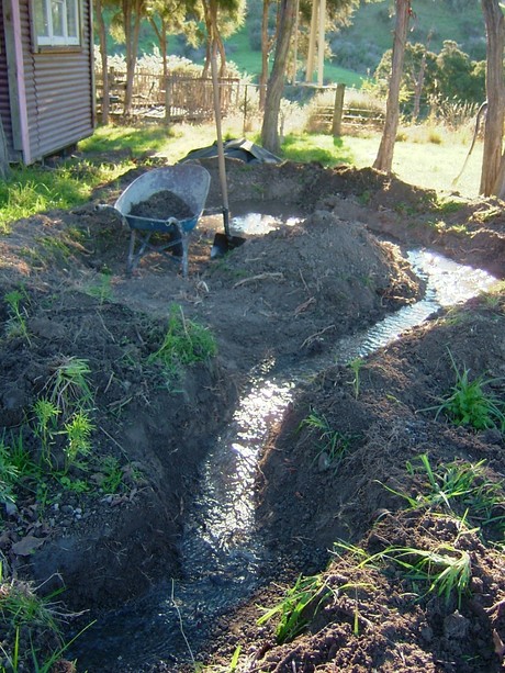 Creating a pond