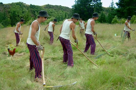 More grass than you can shake a scythe at