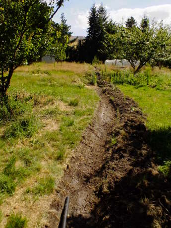 The top swale