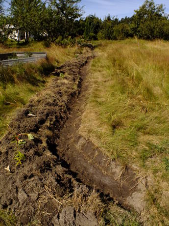 The top swale