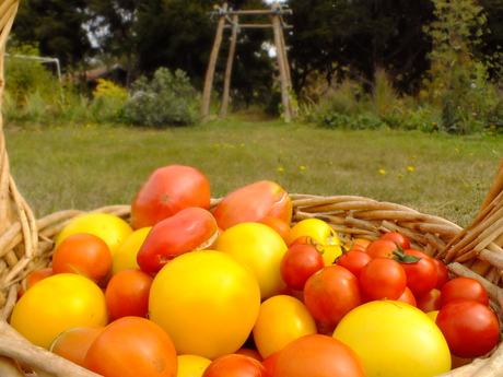 Natural gardening