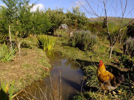 Water wise land shaping and rain harvesting strategies