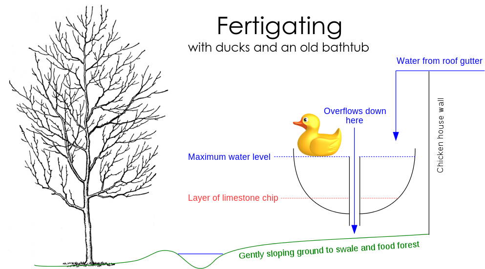 Fertigate with ducks