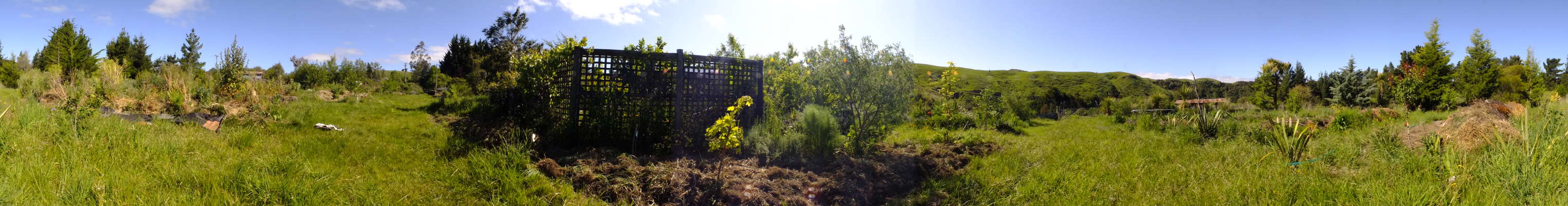 Wood mounds and emerging food forest