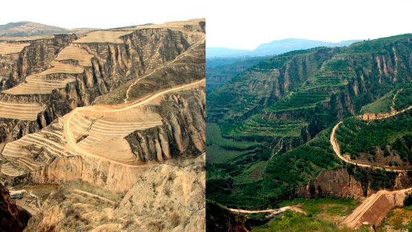 Restoring China's Loess Plateau