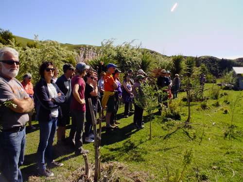 Food Forests, Permaculture & Water Harvesting