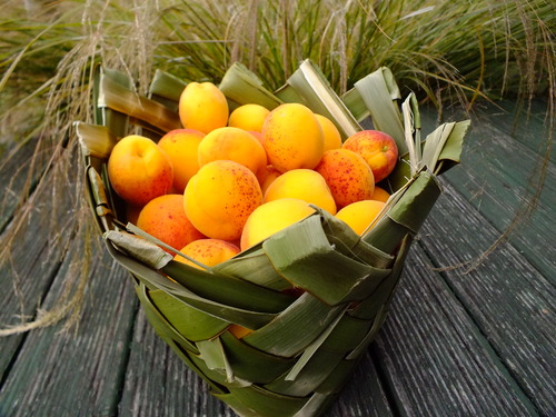 Create a simple flax basket