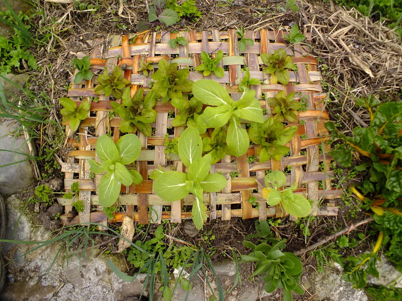 Natural woven flax weed mat