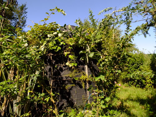 Hiding the water tank