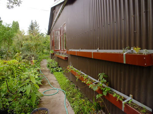 Planting shelves