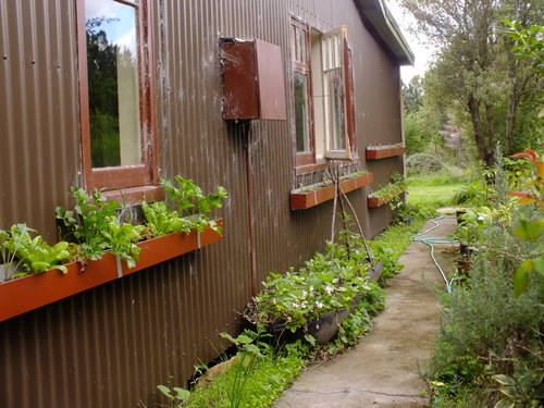 Planting shelves