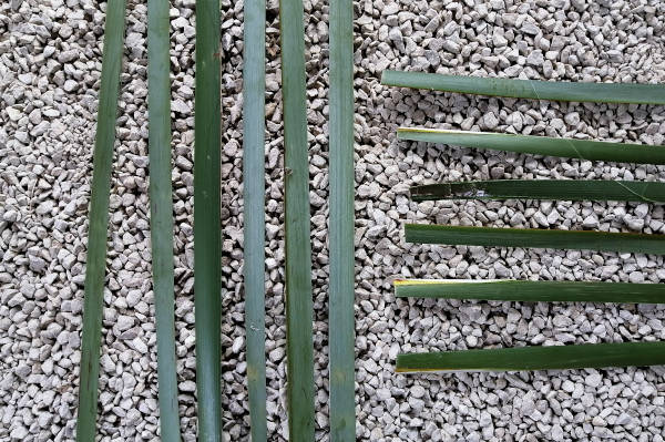 Preparing the flax strips for your square basket