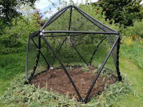 Starplate geodesic garden structure