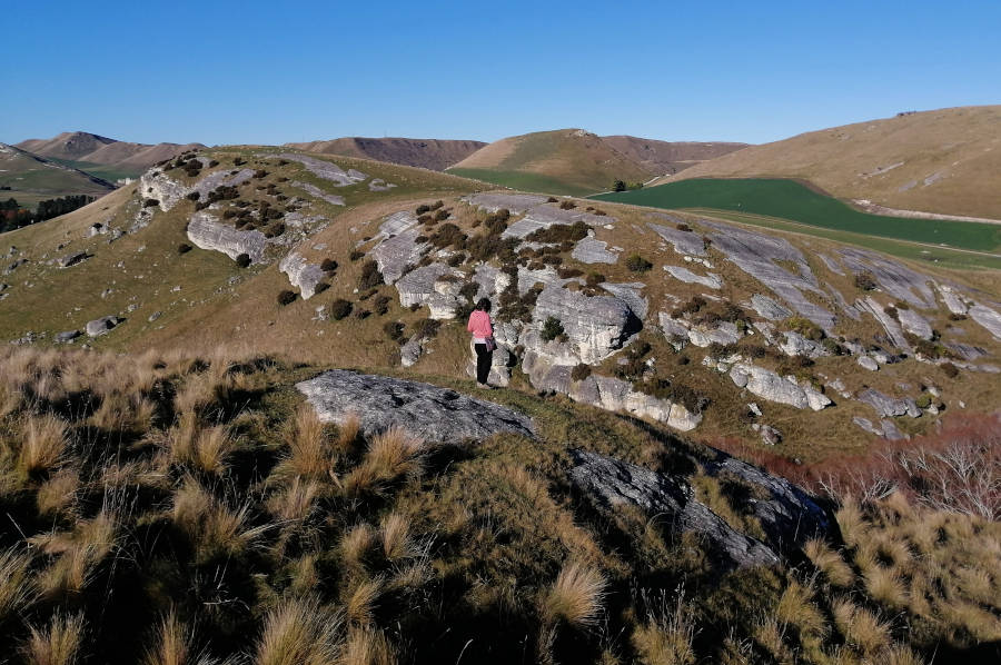 Waikari / Weka Pass Maori limestone rock art walk