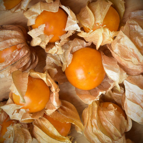 Cape gooseberry