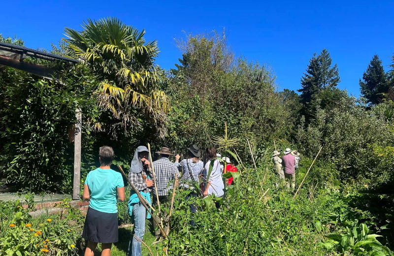 Tree Crops Follow-up Visit