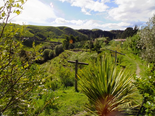 Terracing and trees