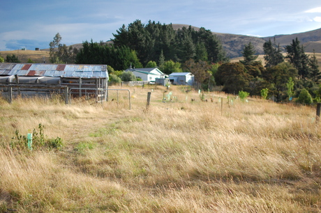 Food forest concept discovery